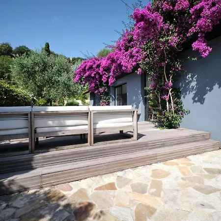 Mimosa Μεντόν