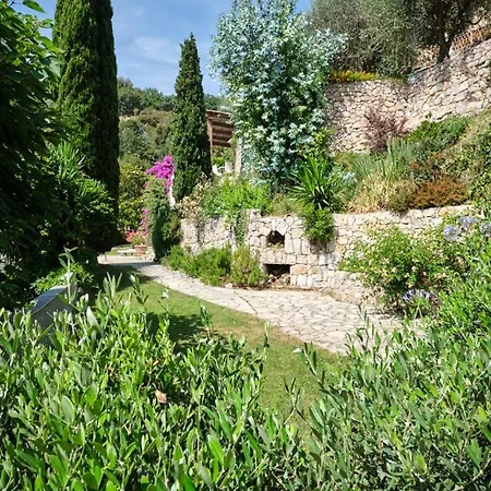 Mimosa * Μεντόν