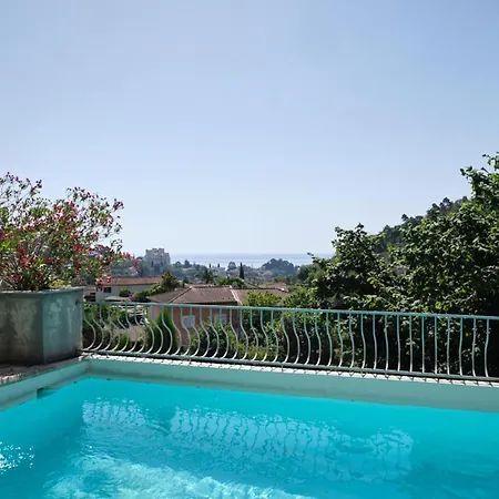 Mimosa Μεντόν