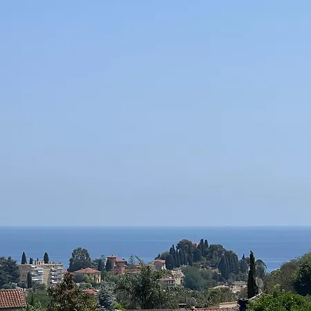 Mimosa * Μεντόν